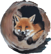 Mietmobil Fuchs