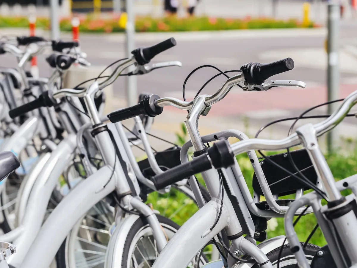 Fahrr&auml;der f&uuml;r die Vermietung